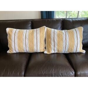 Restoration Hardware Pillow Shams Standard